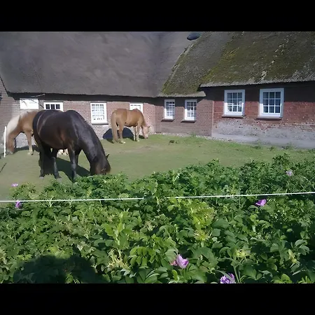 Hof Woogebreeger Lägenhet *